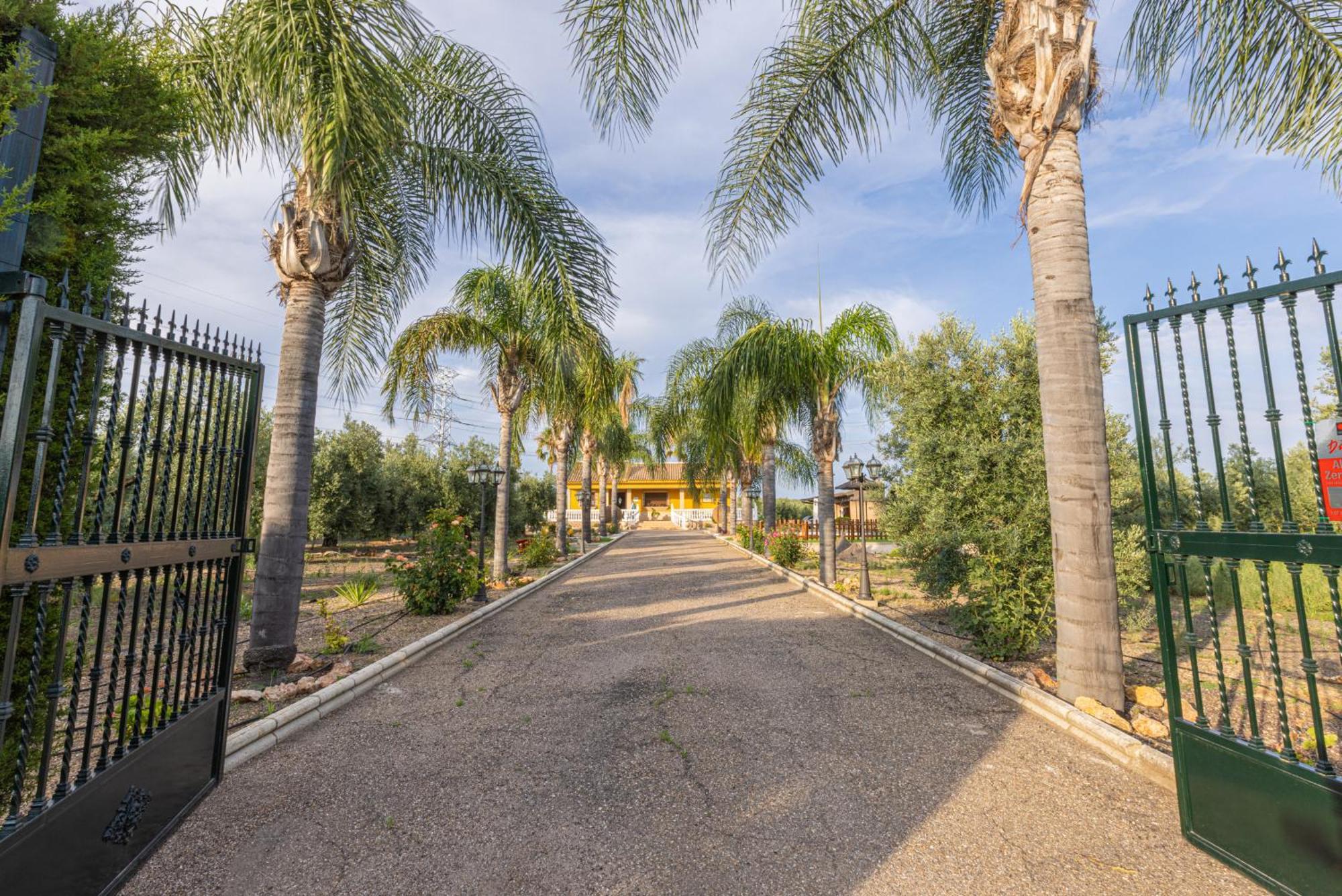 Casa Rural En El Entorno De Donana Villa Hinojos ภายนอก รูปภาพ